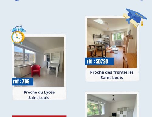 C’est bientôt la rentrée ! Studios meublés proches de la gare, du lycée et des frontières. Idéal pour les étudiants à la rentrée !